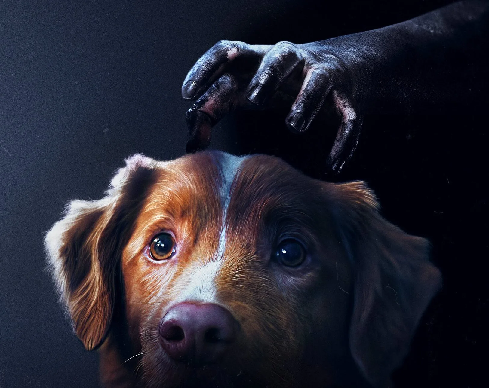 Imagen principal de la noticia