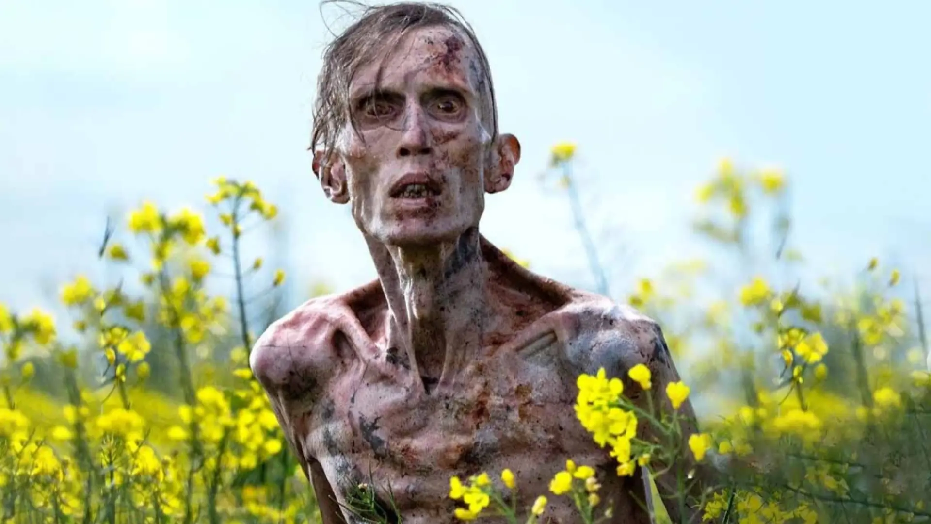 Imagen intermedia en el contenido