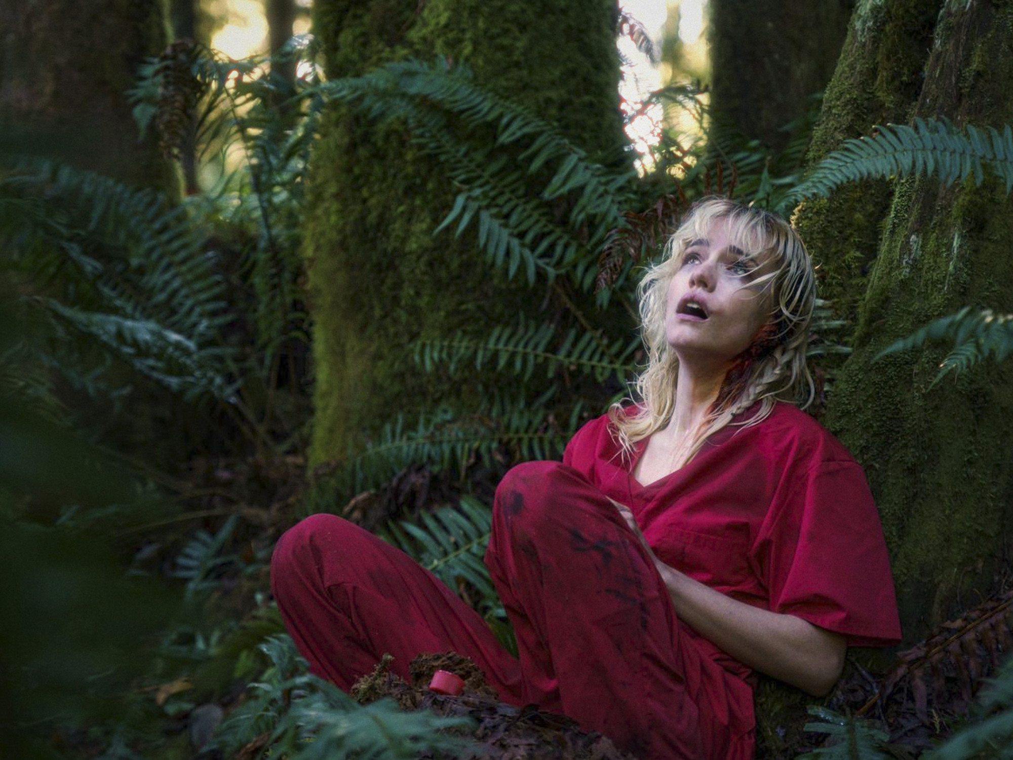 Imagen intermedia en el contenido