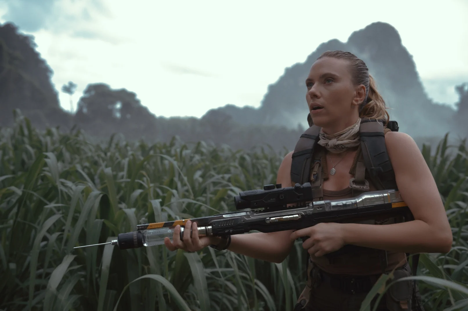 Imagen intermedia en el contenido