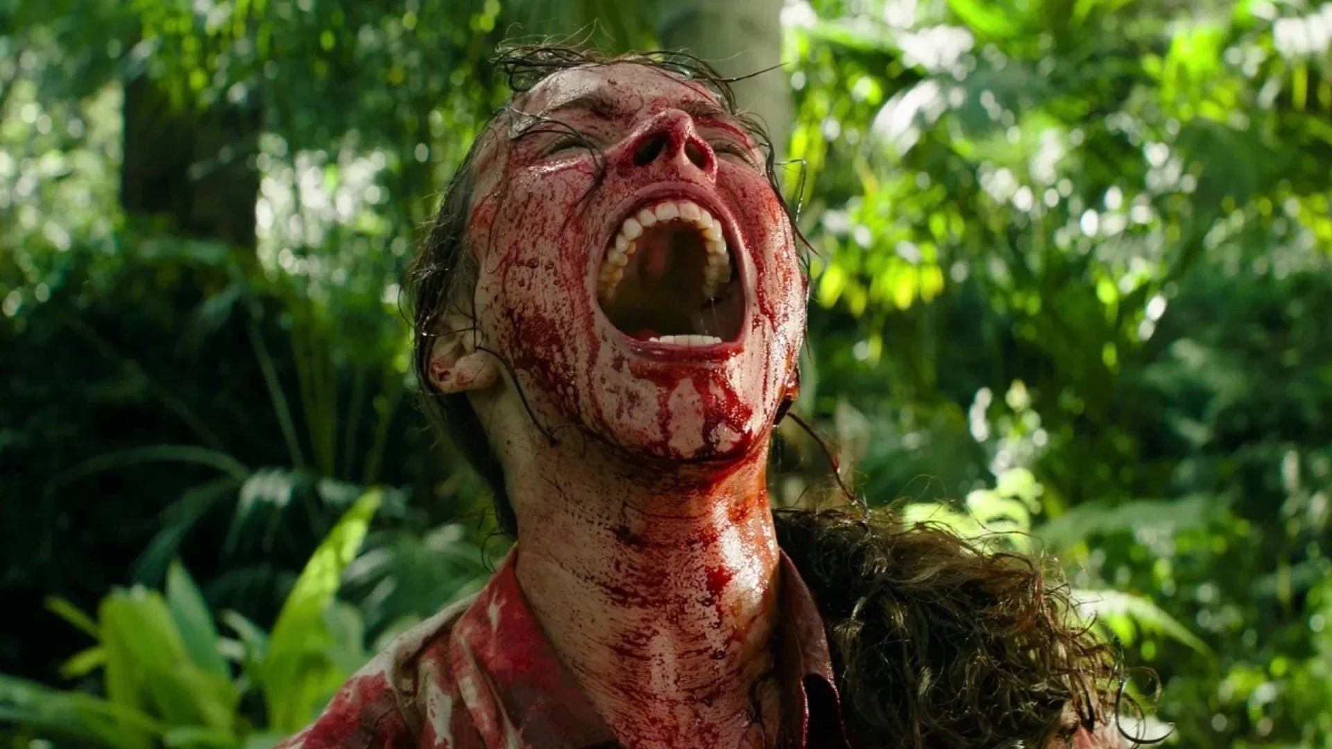 Imagen intermedia en el contenido