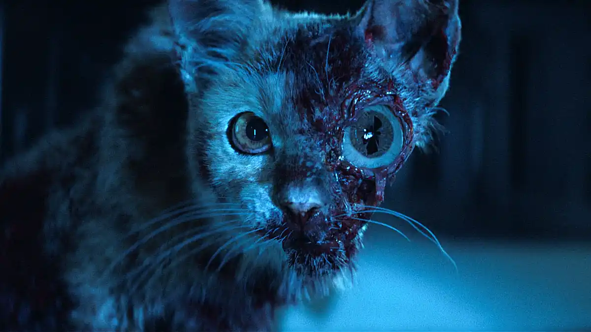 Imagen intermedia en el contenido